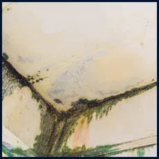 West Palm Beach Emergency Restoration West Palm Beach, FL 561-408-9703 West Palm Beach Emergency Restoration West Palm Beach, FL 561-408-9703 - sb-water-leaks